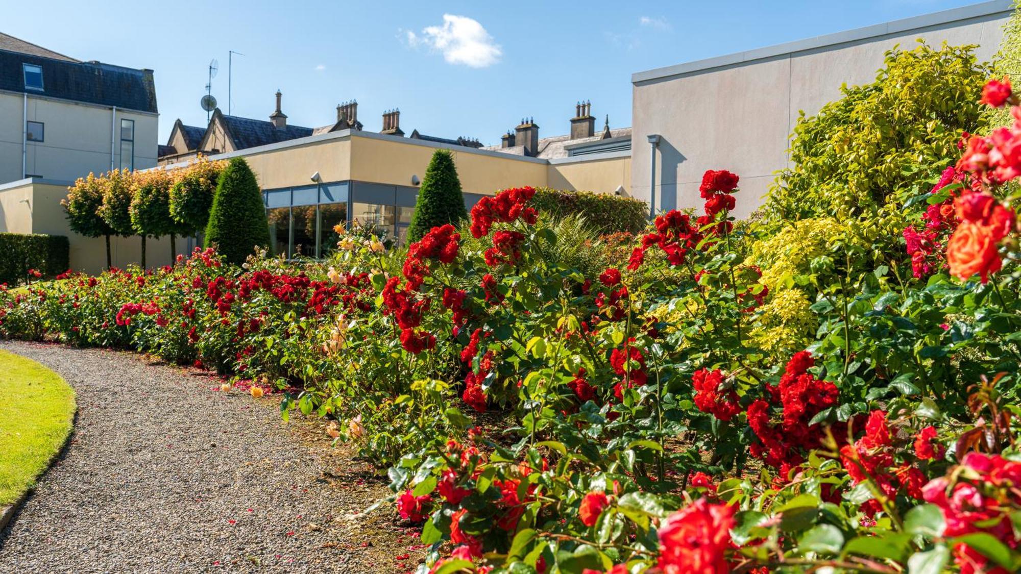 Ballymascanlon Hotel And Golf Resort Dundalk Bagian luar foto
